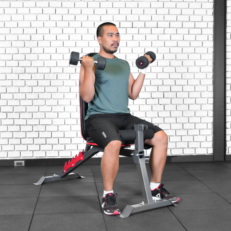 seated-dumbbell-bicep-curls