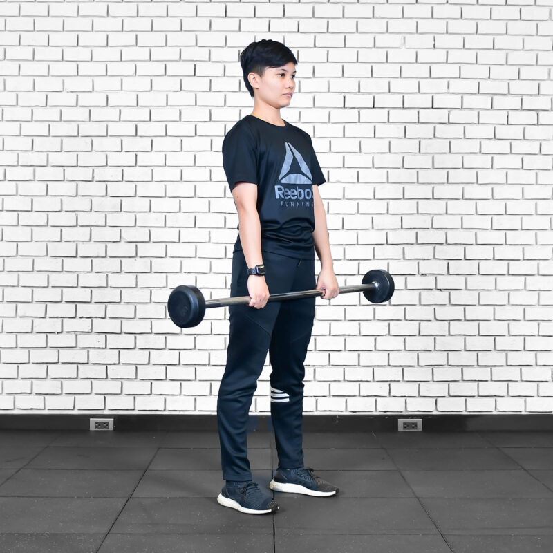 standing-reverse-barbell-curls