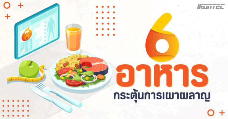 6 อาหารกระตุ้นการเผาผลาญได้ดี