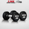 ดัมเบลกลม หุ้มยาง IRONTEC ขนาด 2.5KG x 2 ชิ้น (DBROUND)