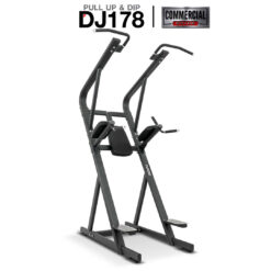 บาร์โหน Pull Up & Dip Station DJ178 (Commercial Grade)